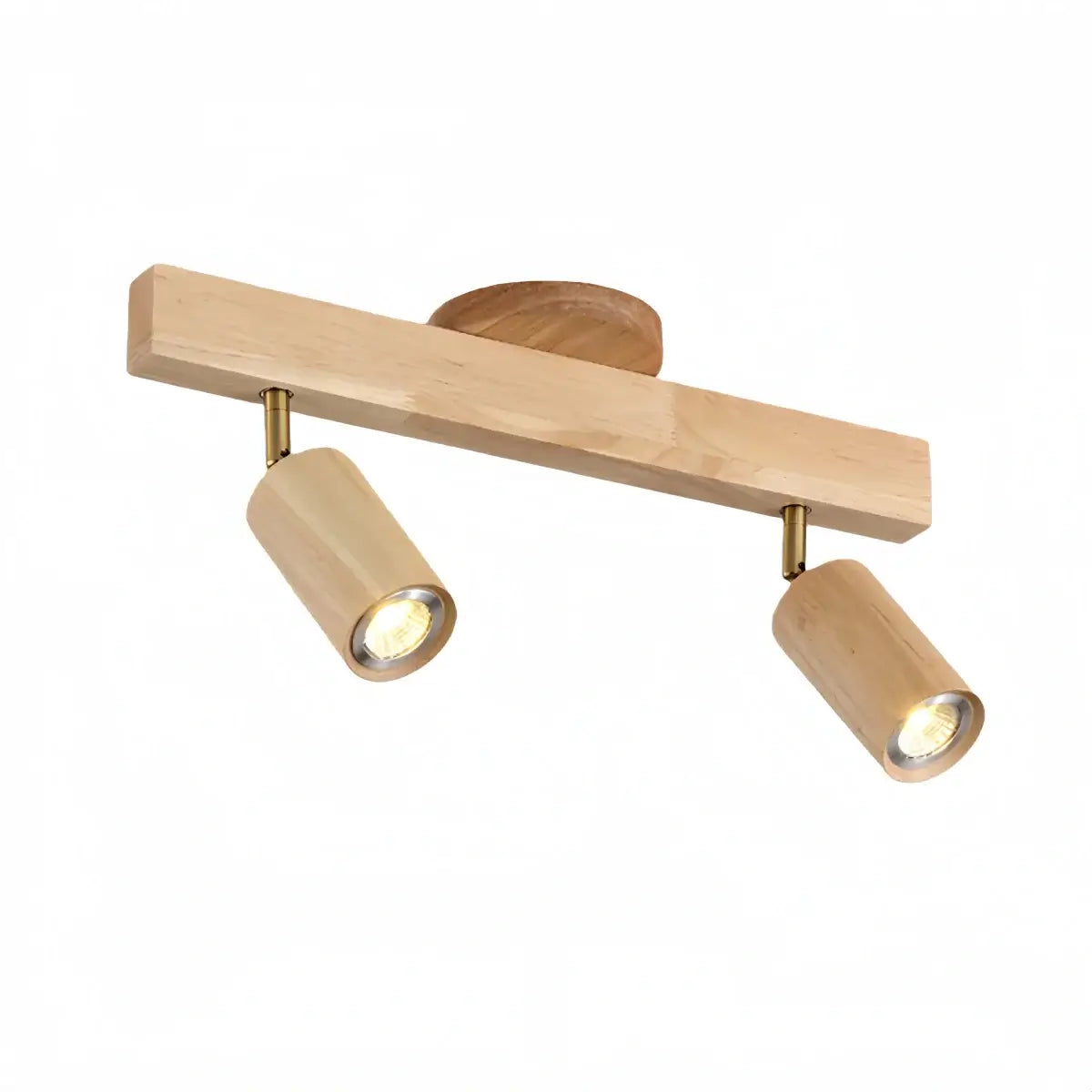 Modern Track Light