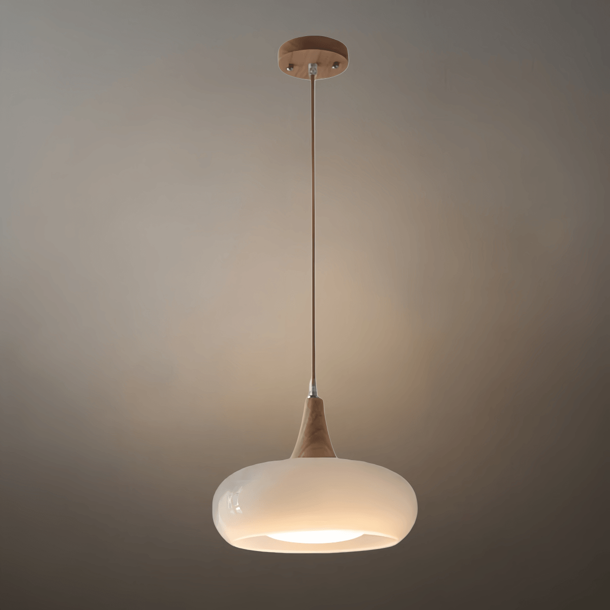 Modern Glass Pendant Light