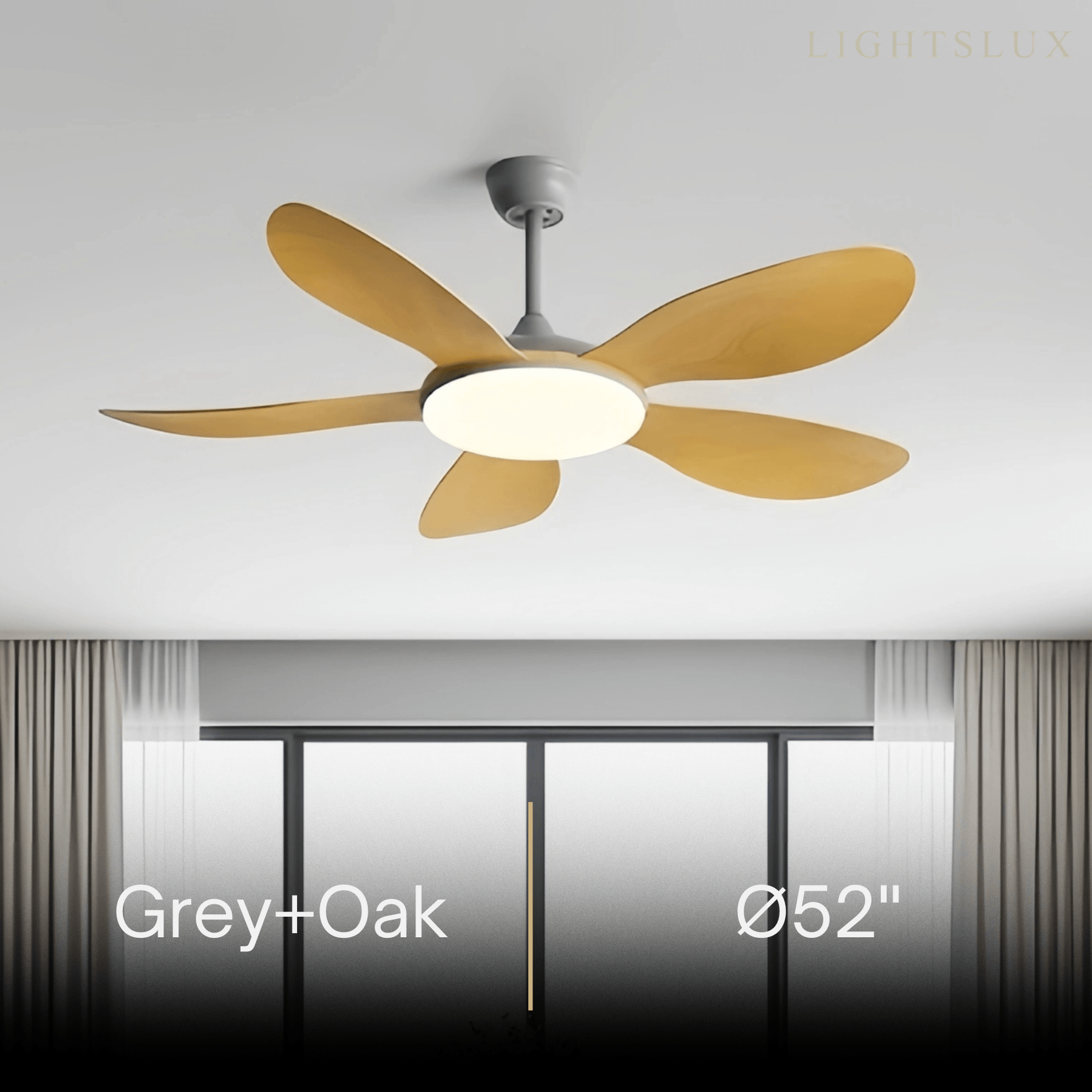 Zenno Modern Ceiling Fan Light