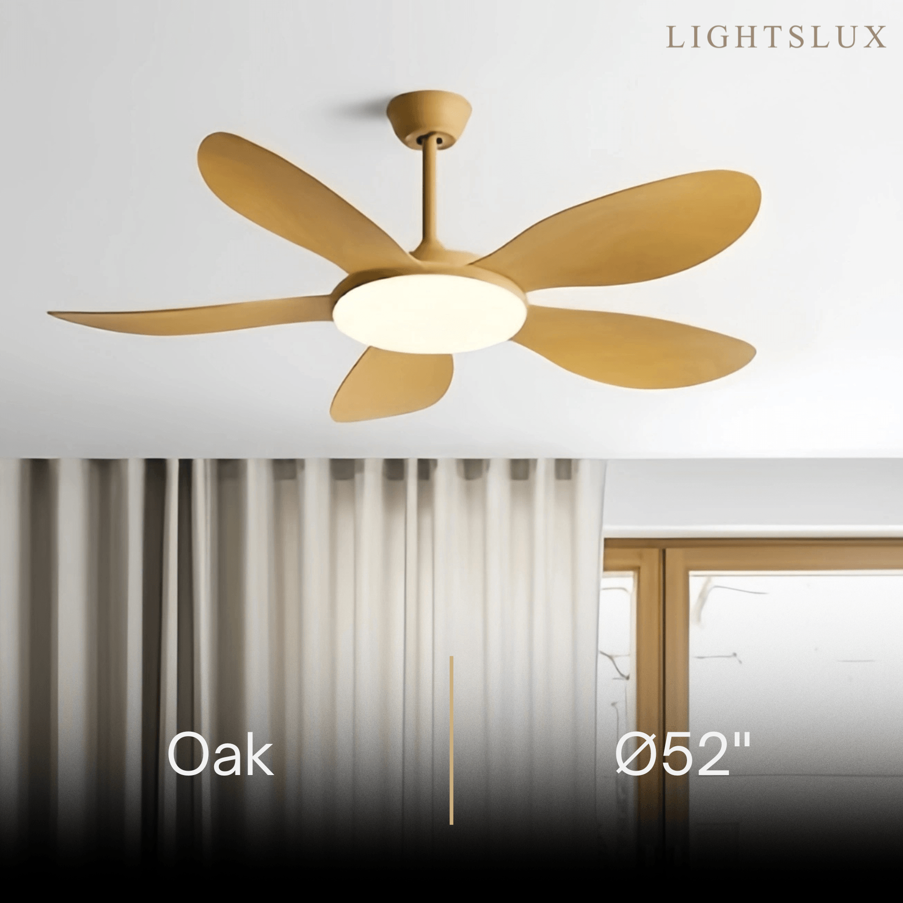 Zenno Modern Ceiling Fan Light
