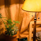 10 Relaxing Bedroom Lighting Options to Enhance Your Sleep Space