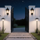 outdoor path lights guide 2025 illuminating a beautifully landscaped garden entrance at night