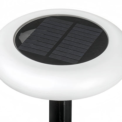 Modern_Rock-Shaped_Pathway_Light_Solar