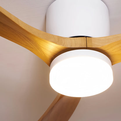 Lunara Nordic Ceiling Fan Light