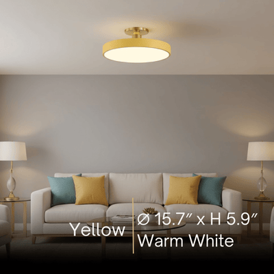 Modern Flush Mount Ceiling Light