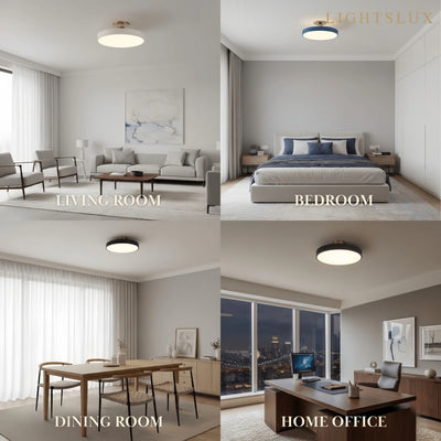 Modern Flush Mount Ceiling Light