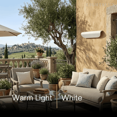 Irondale Minimalist Curved Wall Lamp