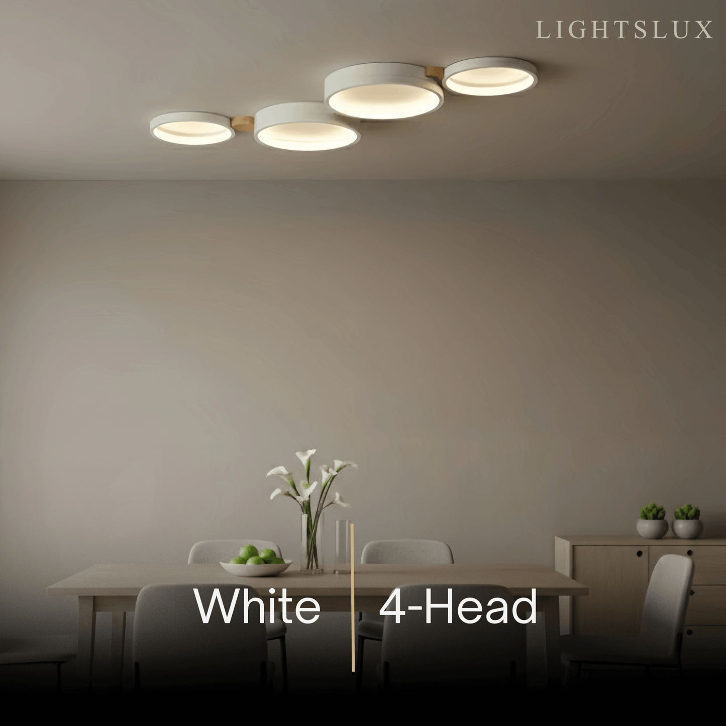  Modern Round Ceiling Light