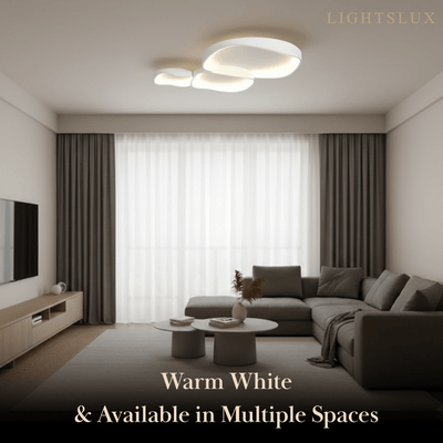 White LED Flush Mount Ceiling Light – Metal /Acrylic for Living Room