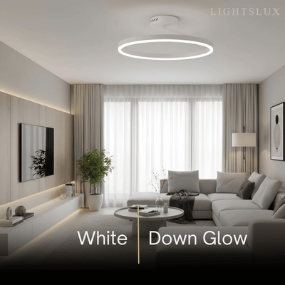 Embrace Modern Circular Flush Mount Ceiling Light