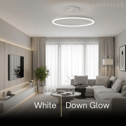Embrace Modern Circular Flush Mount Ceiling Light