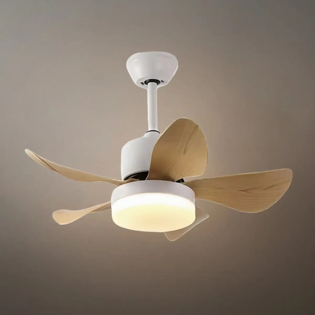 Zenno Minimalist Ceiling Fan Light