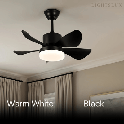 Zenno Minimalist Ceiling Fan Light