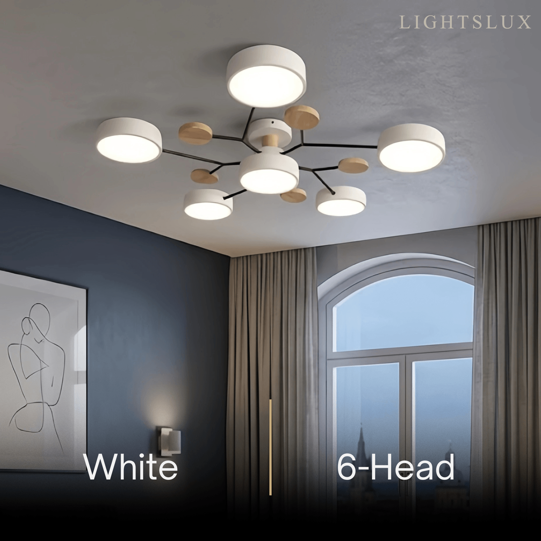 Modern_Round_Ceiling_Light